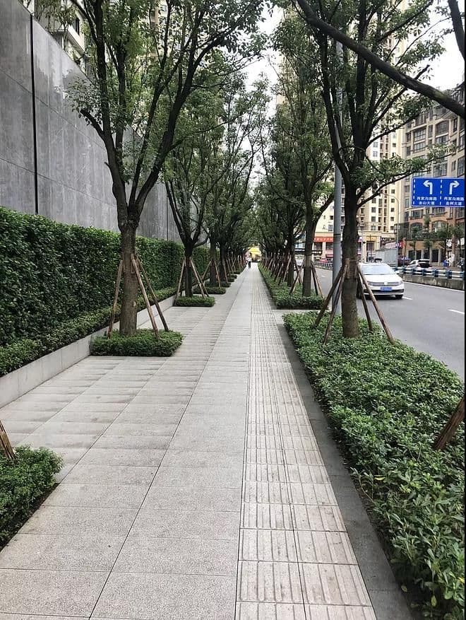 Wide corridors & landscaped spaces